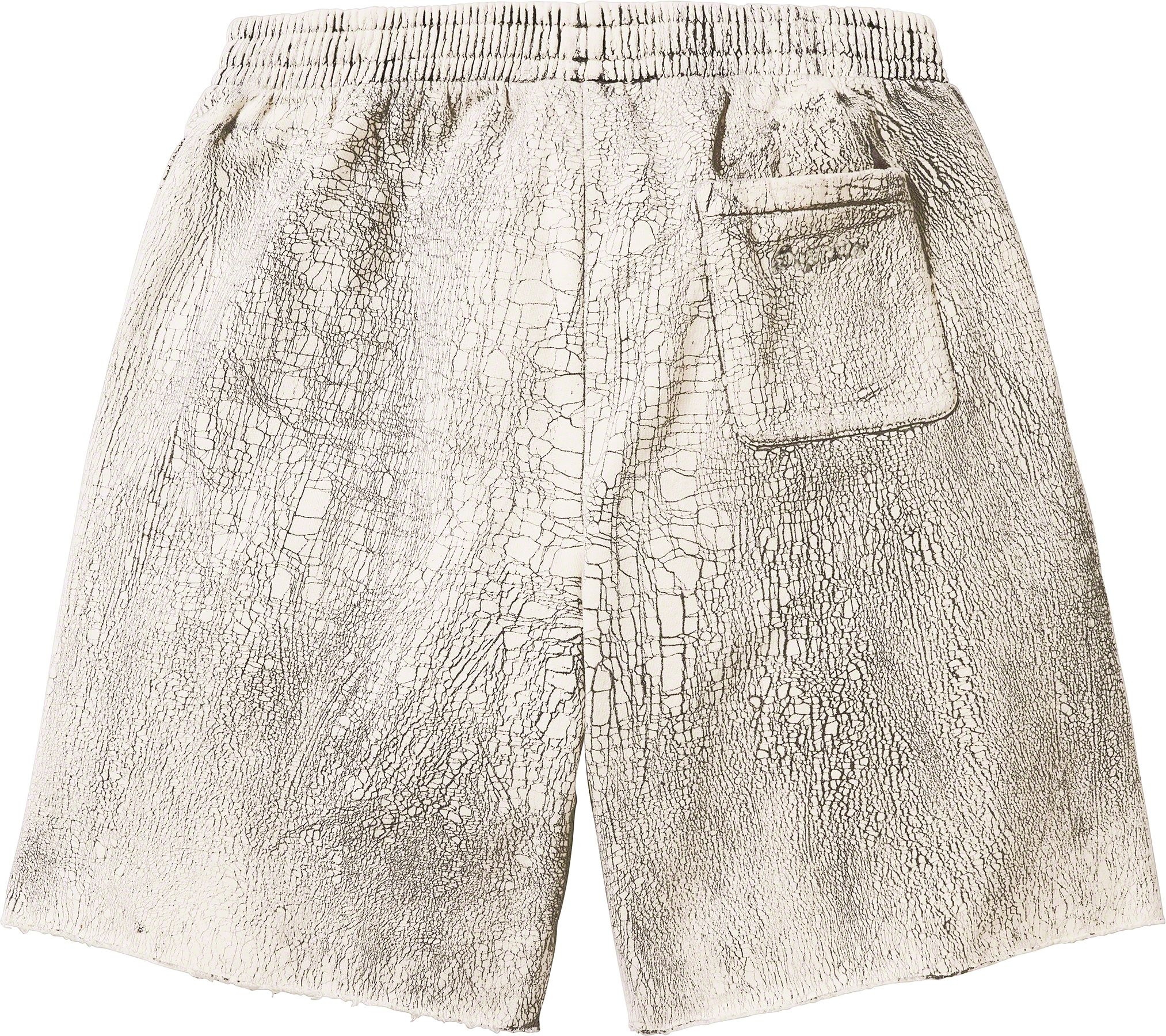 Crackle Sweatshort view 14